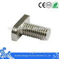 Thép không gỉ tùy chỉnh đầu vuông T Bolt